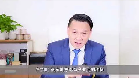 未来中国农业的发展机会，一定是在深加工！这是问题，更是机会 - 天天要闻