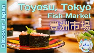 Discover Japan - Toyosu Fish Market (豊洲市場) - Koto City, Tokyo