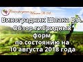 Виноградник Шпака В.А. состоянием на 10 августа 2018 года