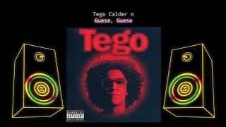 TEGO CALDERON GUASA GUASA (📀DRG HQ AUDIO📀)