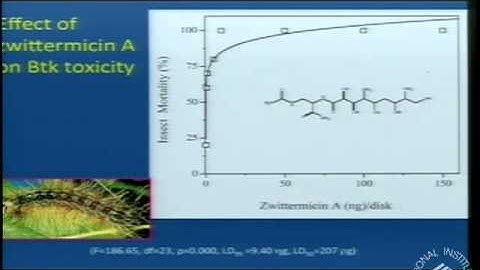 Phalanx or Traitor? Impact of Gut Microbial Communities on Insect Health