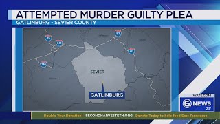 Man pleads guilty to attempted murder in 2023 Gatlinburg shooting