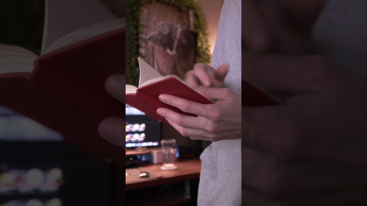 A Dual Monitor Setup for Multitasking?