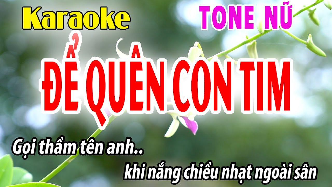Để Quên Con Tim - Karaoke Tone Nữ ( Eb ) Đời Sống Và Âm Nhạc - Beat Phối Dễ Hát
