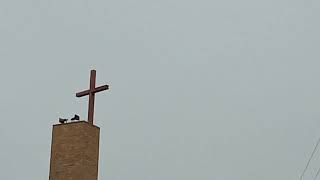 Church Bell Hourly Chimes 100Pm