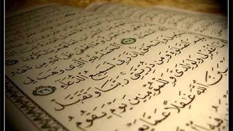 سورة ابراهيم من اجمل التلاوات للشيخ هزاع البلوشي صوت هادئ ويريح القلب