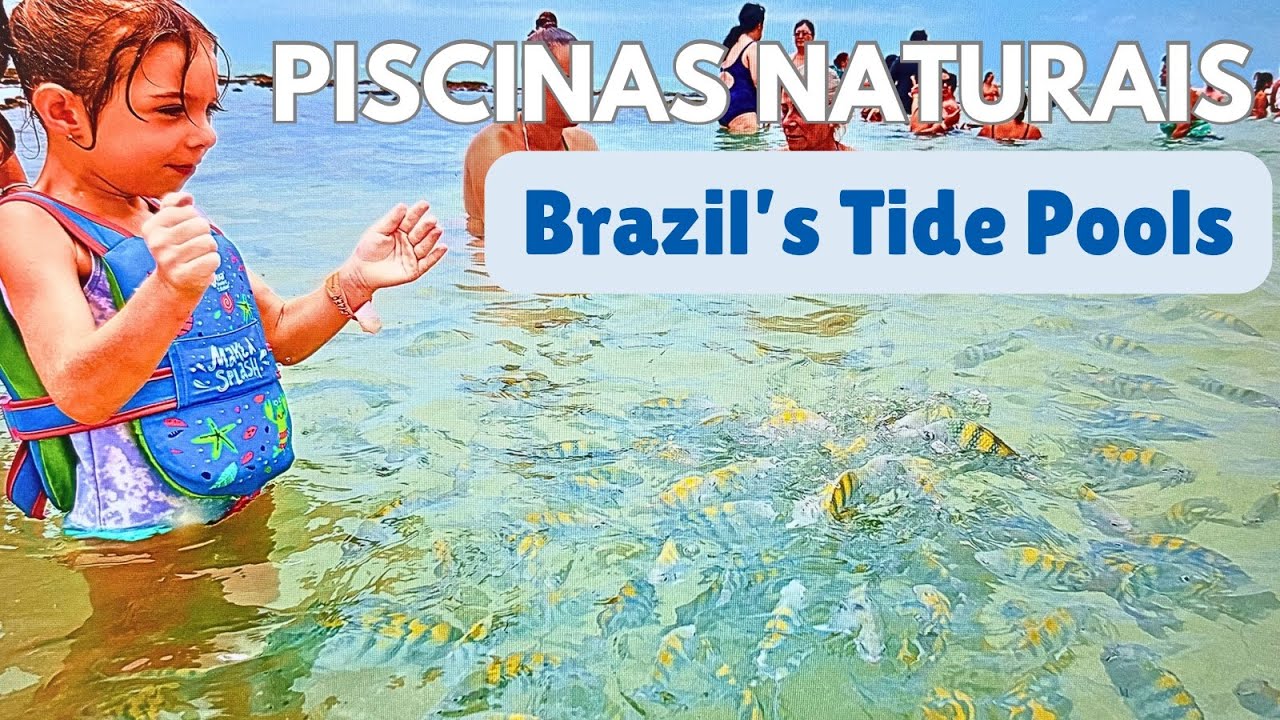 American Family Discovers Brazil’s Hidden Gem – Piscinas Naturais do Seixas 🐠🇧🇷