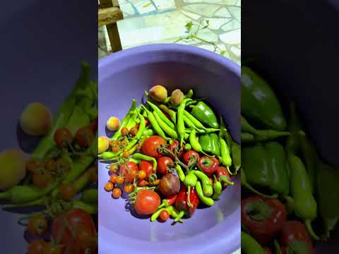 خلي سطحك مصدر سعادتك