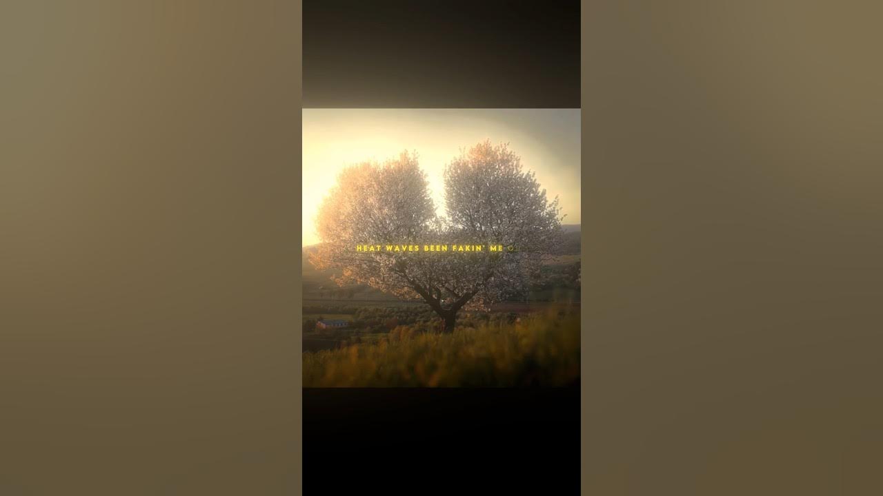 Heat Waves - Glass Animals ( Lyrics ) | It's June Again | Aesthetic Status #heatwaves #glassanimals Heat Waves - Glass Animals ( Lyrics ) | It's June Again | Aesthetic Status #heatwaves #glassanimals