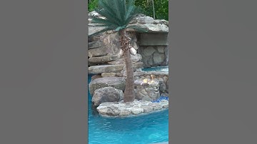 Check out this incredible lazy river backyard in New Jersey.  #backyardpool