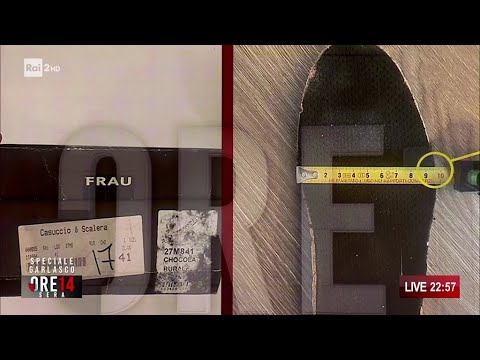 Video Garlasco, tutti i dubbi sull'impronta dell'assassino - Ore 14 Sera 05/06/2026