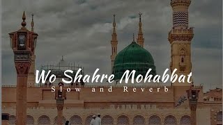 wo Shahre Mohabbat Jahan Mustafa Hai || Lofi Naat || Solwed and Reverb || Zohaib Ashrafi