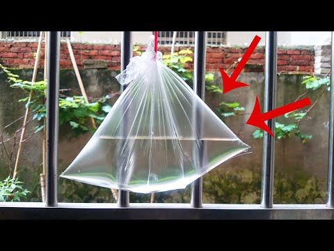 把塑料袋装点水挂窗户上，作用真是厉害了，可惜知道的人并不多，快试试