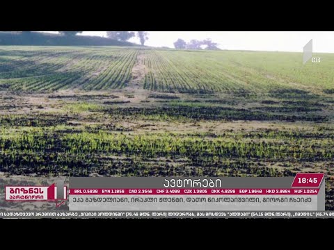 ნაყოფიერი მიწის ფართობი ყოველწლიურად მცირდება