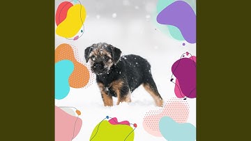 Pulsating Happy Dogs