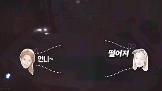 케미 터지는 소녀시대 리더 태연과 막내 서현이 노는 방법 (ft.대형견과 소주인)