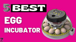 ✅😍Top 5 Best Egg Incubators [ 2024 Buyer&#39;s Guide ]