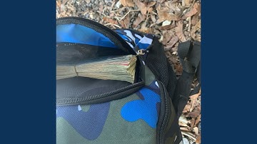 Scam Flow (Freestyle)