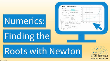 Numerical Methods: Newton