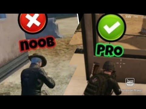 Გადაწყვითეთ პრო VS ნუბი