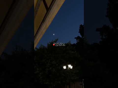 يا رب يخلي ضحكاتو فضل شاكر     اكسبلور لايك ترند فولو