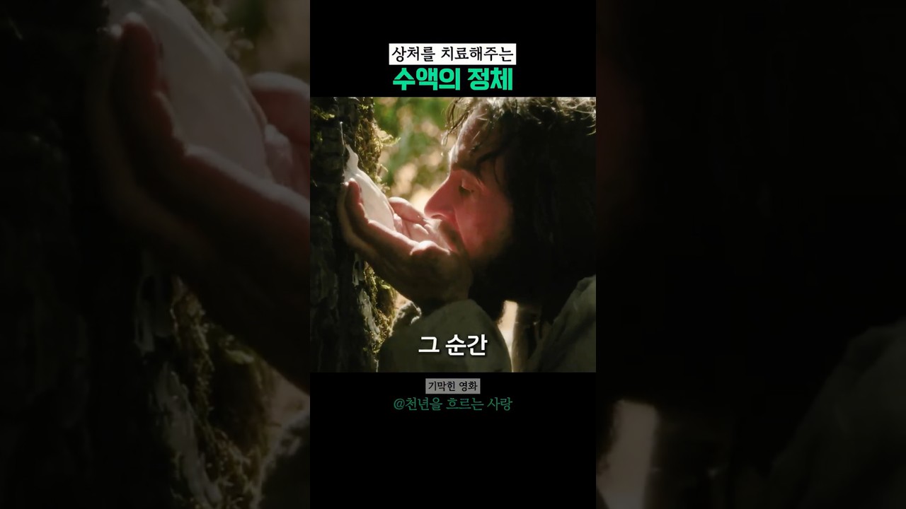 상처를 치료해주는 수액의 정체