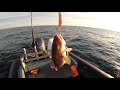 НА БАРЕНЦЕВОМ МОРЕ В ИЮЛЕ / ON THE BARENTS SEA IN JULY