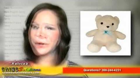 Teddy Bear Hidden Camera with Built-in DVR Review