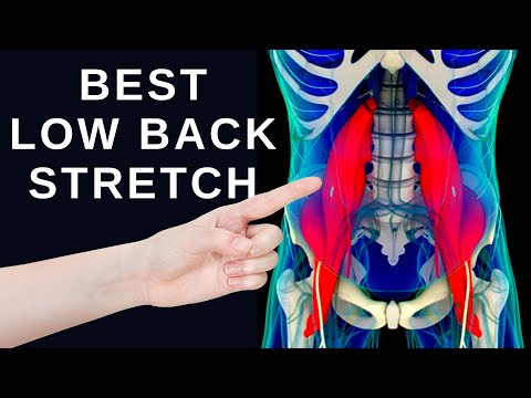 #1 Best Low Back Stretch for Lower Back Pain Relief