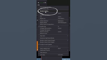 Timeline LAG? Render in Place! - DaVinci Resolve for NOOBS! - Tip #32