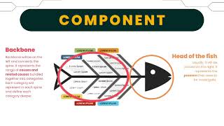 IMS555: ISHIKAWA DIAGRAM (MOTION GRAPHIC VIDEO)