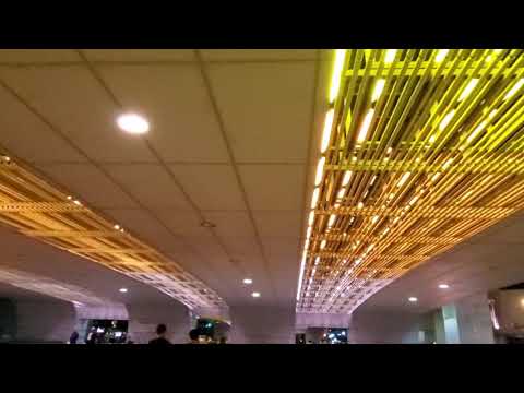 20210919　ｶﾗﾌﾙ♪試合後の阪神高速･高架下　阪神ﾀｲｶﾞｰｽ本拠地@阪神甲子園球場
