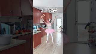 Dance of the Challah instead of Swans from Swan Lake trend w ballet outfit Dance of the Challah instead of Swans from Swan Lake trend w ballet outfit