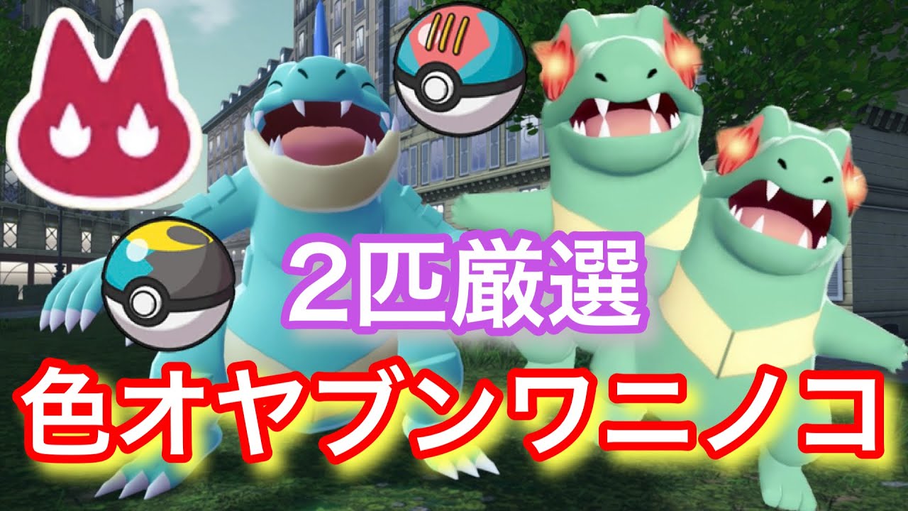 ムンボとルアボで色違いオヤブンワニノコを2匹厳選！【ポケモン