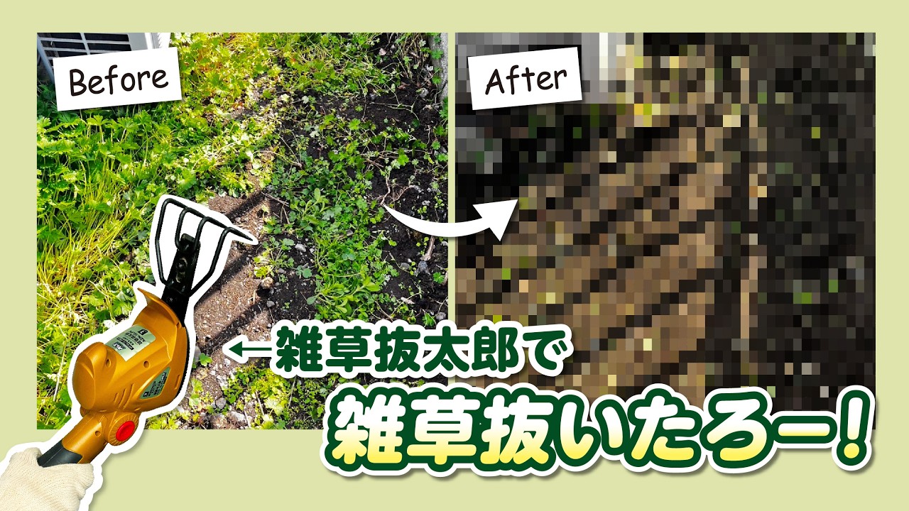 雑草撤去の軽作業 施工事例】雑草撤去・整地工事｜放置された草むらをスッキリ解決！境界