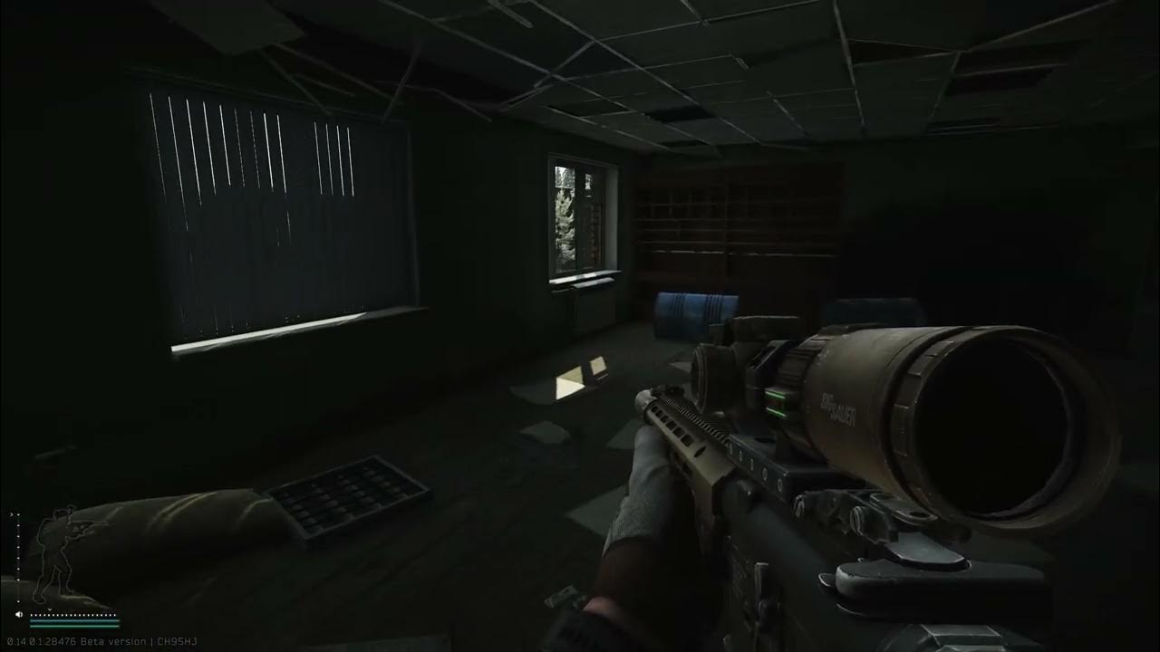 Tarkov's Pest Control Experience YouTube