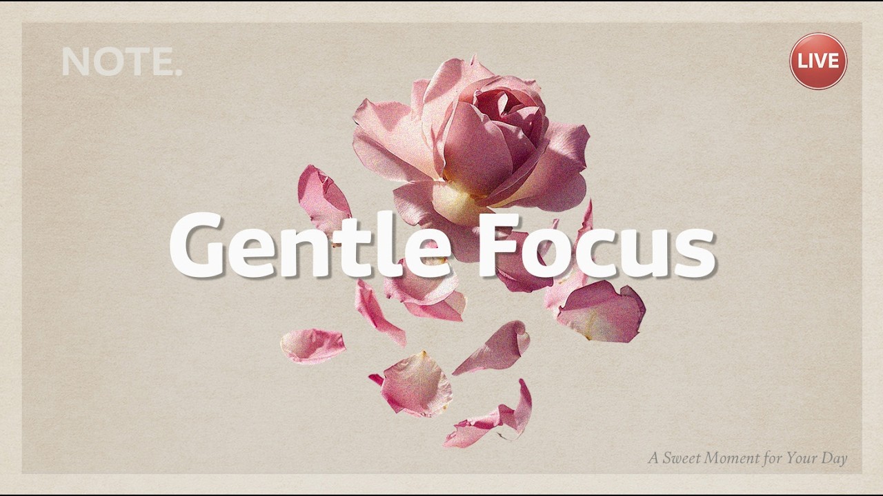 24/7  Chill House for a Calm Focus | NOTE. LIVE