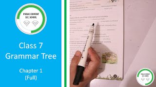 Grammar Tree | Class # 7 | Chapter 1 Nouns (Full)
