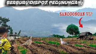 HUNTING FOR MEASURES IN BUKIT BATU‼️ IT TURNED OUT THERE ARE A LOT OF MEASURES