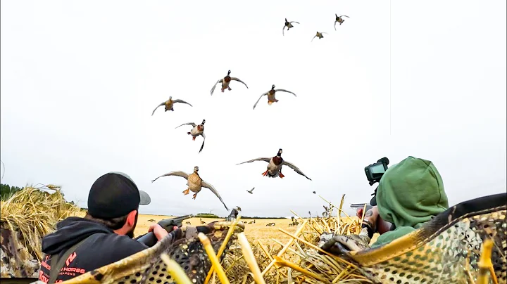 FIRST 2 MAN FIELD DUCK HUNT 2025! (Limited Out)