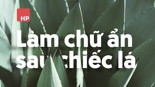 📷 Làm chữ ẩn sau chiếc lá trên photoshop | HPphotoshop.com screenshot 2