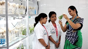 Sathyabama University