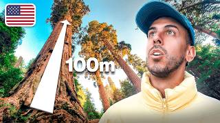 Visité los Arboles Más Altos del Mundo