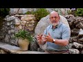 Why Does Resurrection Matter? (N. T. Wright Q&A)