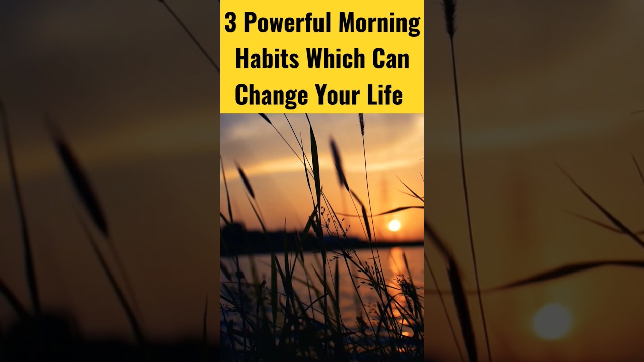 3 Powerful Morning Habits That Will Change Your Life 