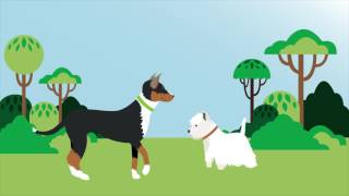 Animation The Five Freedoms
