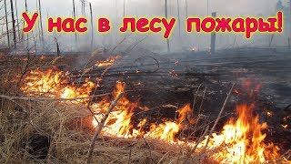 У нас были пожары возле села! (04.19г.) Семья Бровченко. У нас были пожары возле села! (04.19г.) Семья Бровченко.