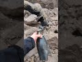 Woman's prosthetic leg swept out to sea 'thrilled' its been found 10 months later