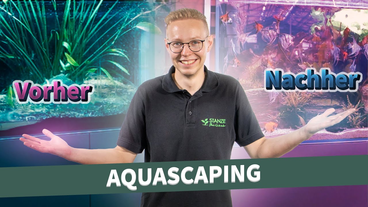 Vom Chaos zur Oase: Unser Aquarium bekommt ein komplettes Makeover!