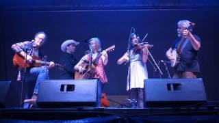 The Wildcats - Rattletrap Cllifftop 2016 Traditional Band Finals